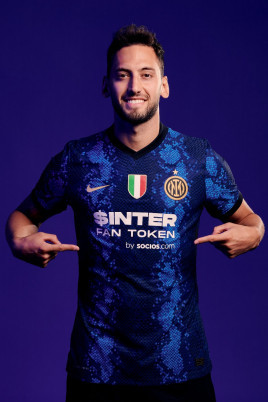 的临门一脚 的临门一脚