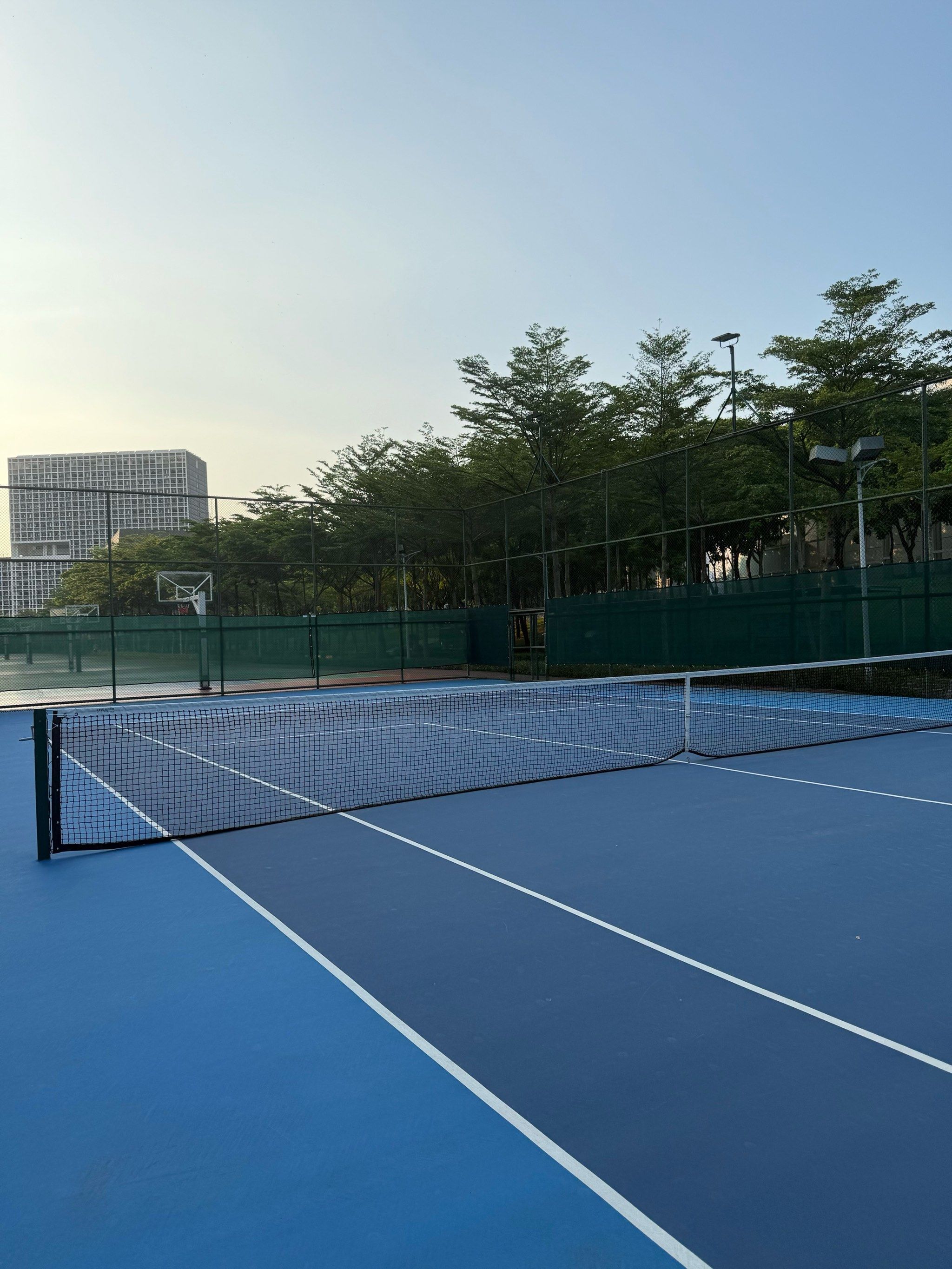 固定